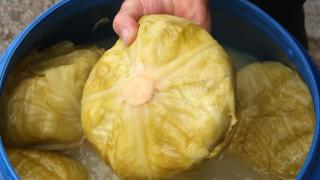 Ето кога да сложите киселото зеле, за да е идеално за Коледа