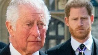 Мистерията падна: Експерт каза дали принц Хари е син на Чарлз