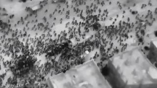 Касапница в Газа: Над 100 души загинаха в блъсканица пред камиони с помощи ВИДЕО 18+