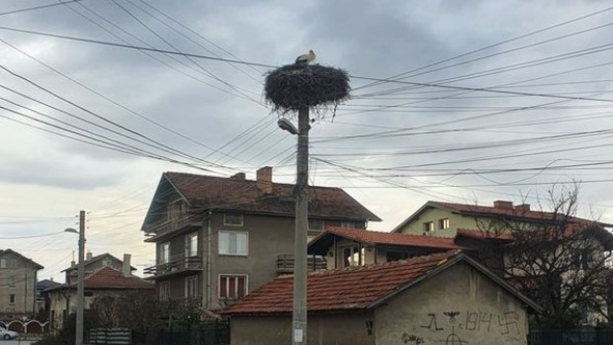 Навръх Баба марта пролетта долетя в София СНИМКА 