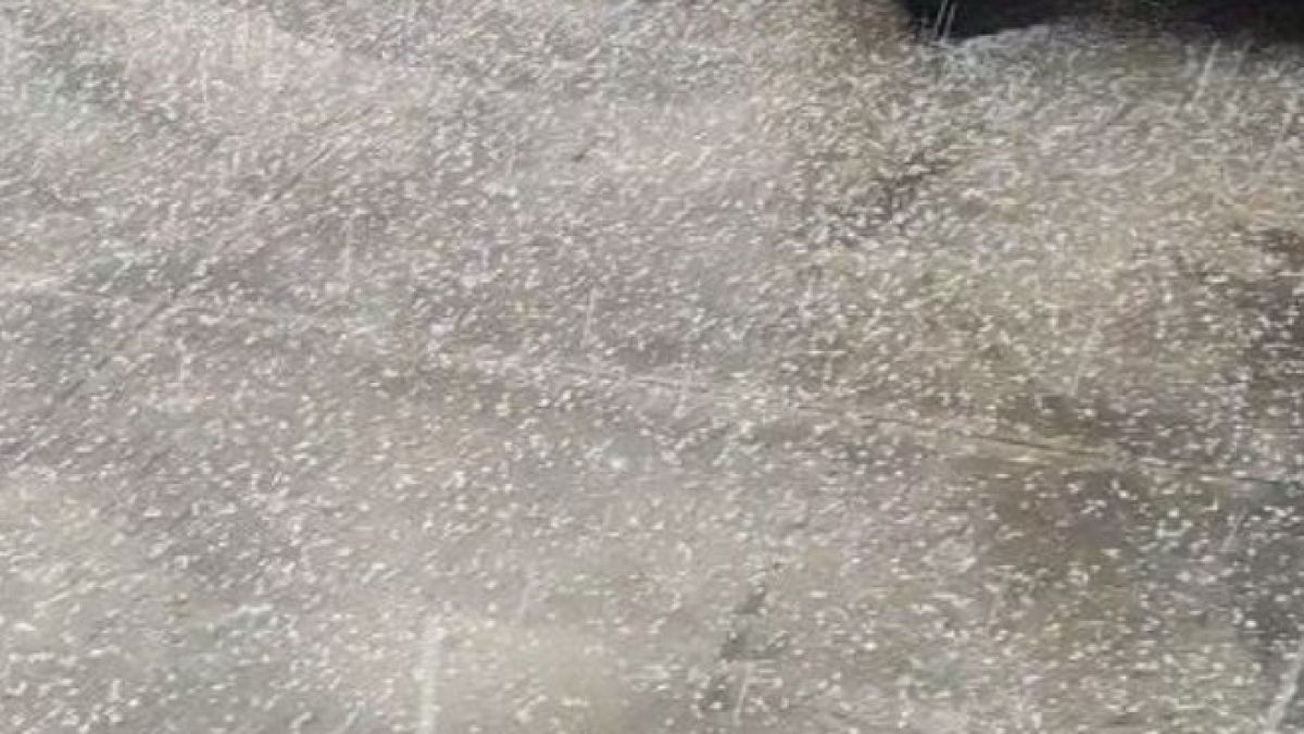 Нетипична за зимата стихия удари Чирпан ВИДЕО 