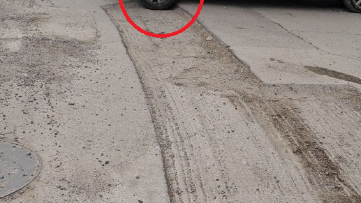 Софиянци бесни на безхаберието на новата власт в "Лозенец"! СНИМКИ и ВИДЕО разкриват още по-големи бакии
