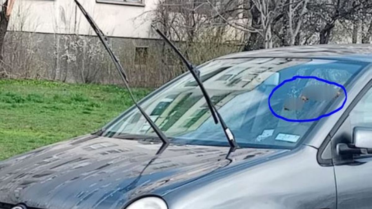 Фекално наказание потресе цяла София СНИМКА