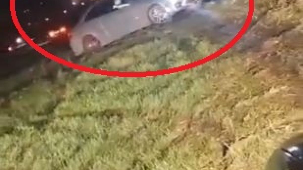 Безпрецедентно: Полицаи завардиха изоставено летище край Павликени, обградиха 400 коли и... ВИДЕО