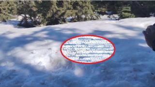 Пълен шок! Никой не очакваше да види това насред снега на Ком ВИДЕО