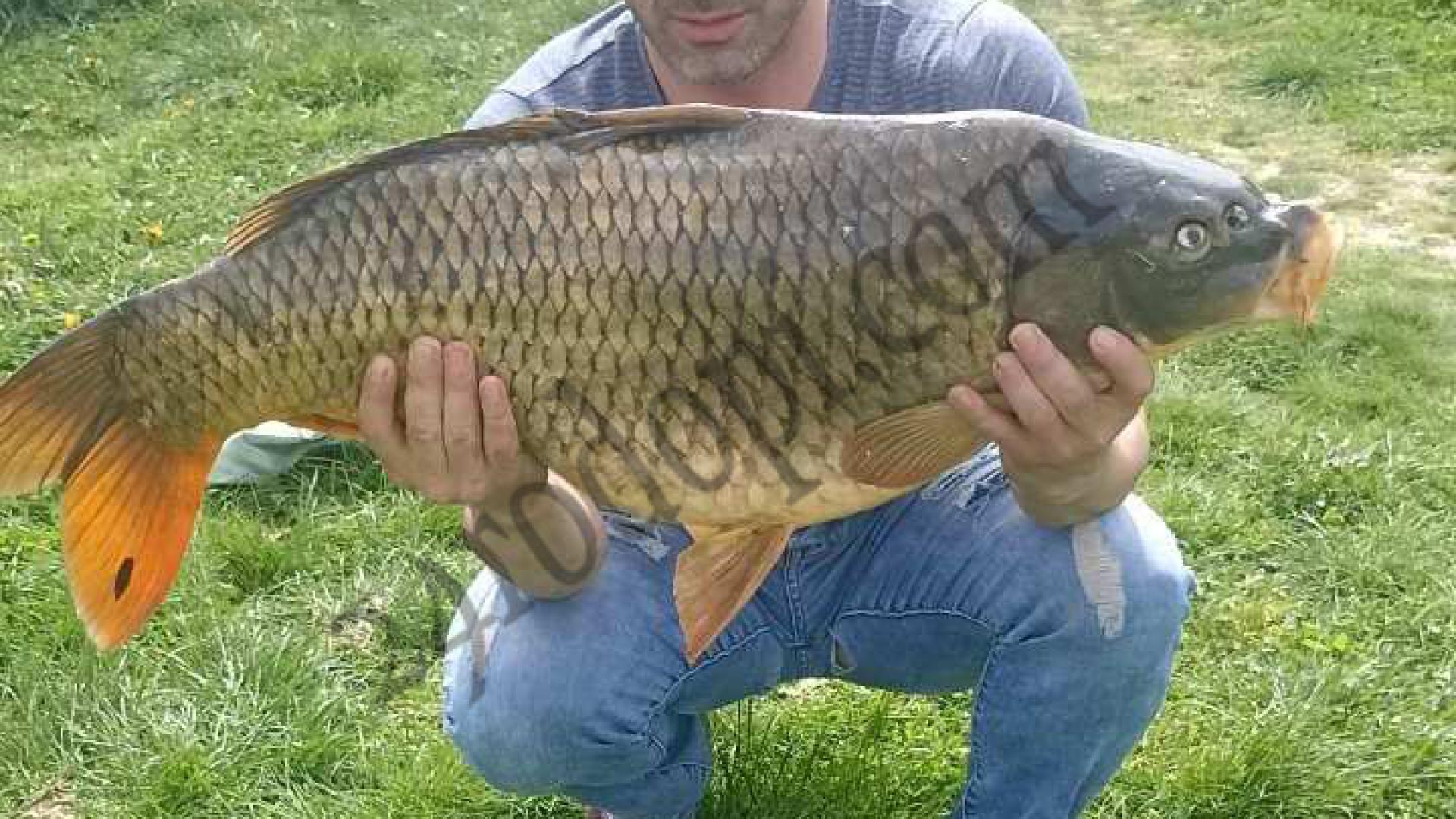 Родопчанин извади голям звяр от язовир "Студен кладенец" СНИМКА 