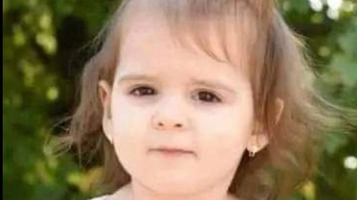 Неописуема драма: Убили са жестоко 2-г. дете, търсено във Видинско и Сърбия