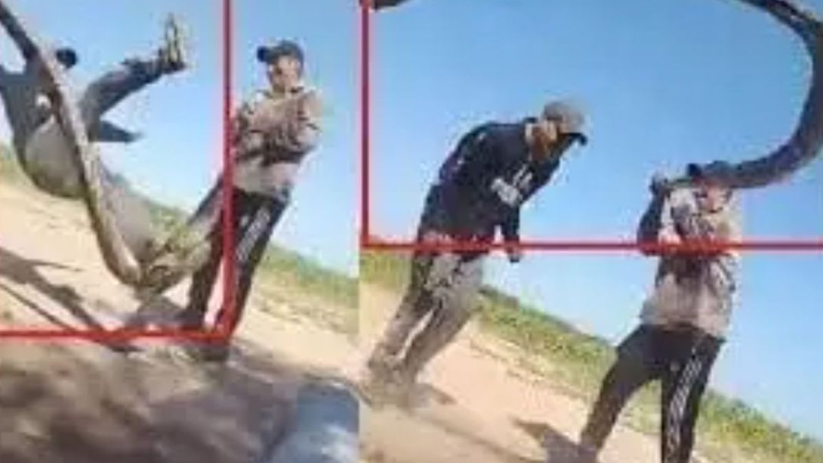 Шок! Мъже вместо с въже скачат с жива змия ВИДЕО