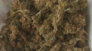 Спипаха мъж в Благоевградско с дрога за 87 000 лв.