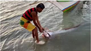 Хванаха "Рибата на Страшния съд", а 30 часа по-късно десетки загинаха СНИМКИ