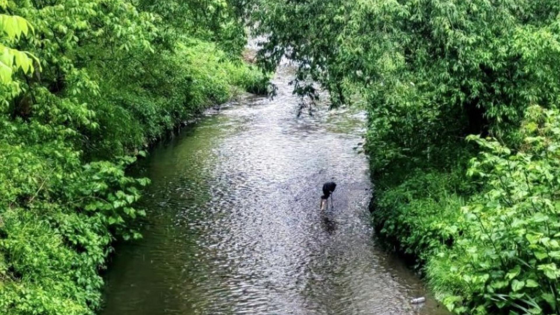 Мрачни поверия смразиха кръвта на хората в Обеля, ето кой пристигна 