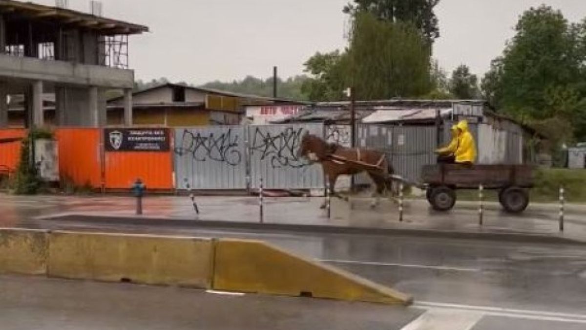 СНИМКА изби рибата: Разрази се мощна буря, а в София... керванът си върви