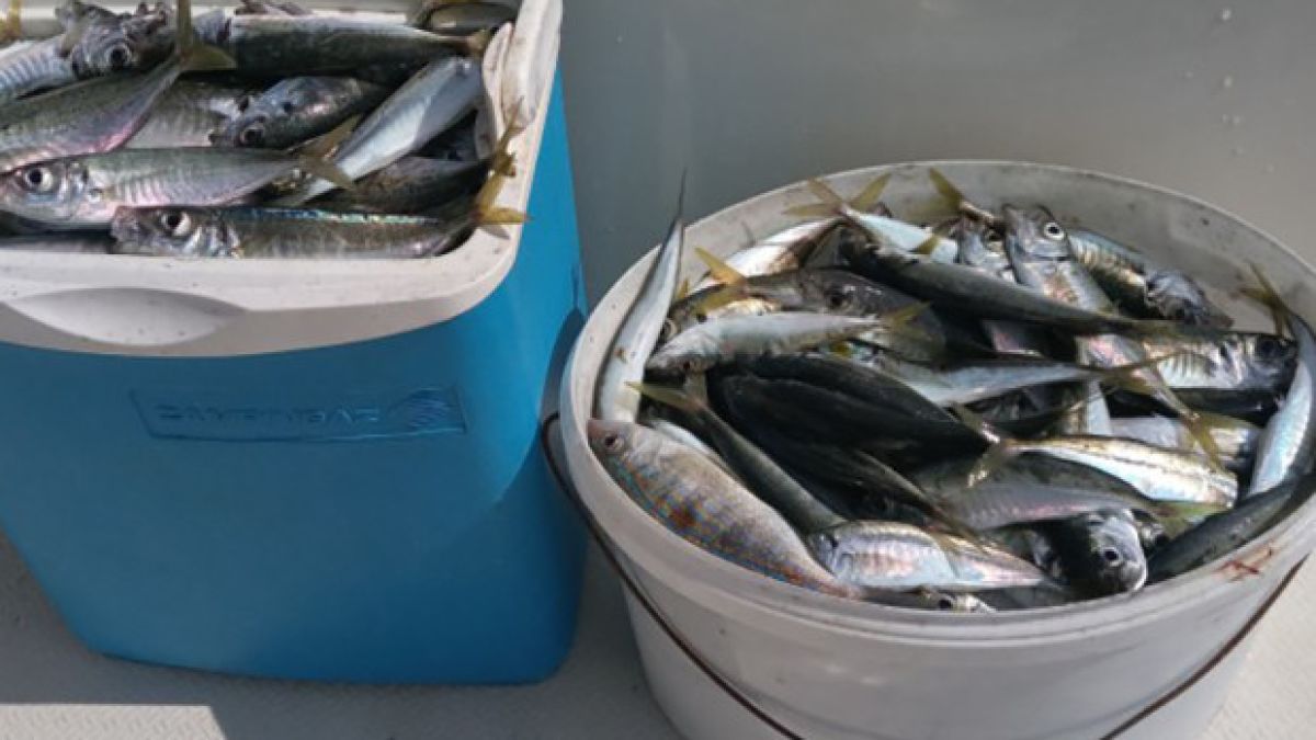 Месец по-рано: Морето ври, варненци не могат да си намерят място СНИМКА
