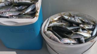 Месец по-рано: Морето ври, варненци не могат да си намерят място СНИМКА