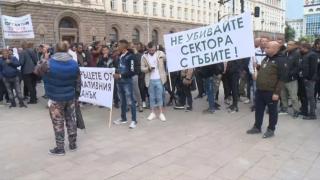 На жълтите павета ври и кипи