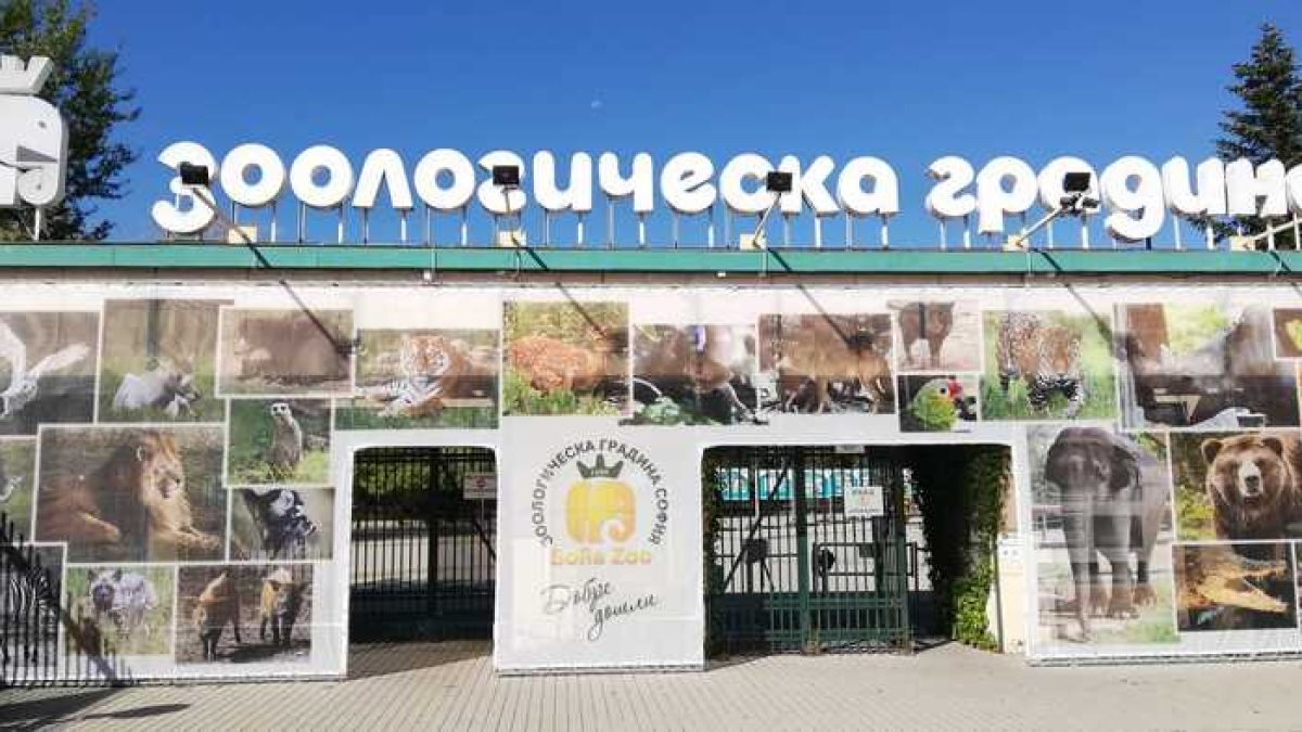 Край на евтинията! Промяната в столичната зоологическа градина е факт 