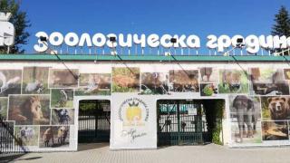 Край на евтинията! Промяната в столичната зоологическа градина е факт 