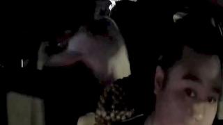 ВИДЕО запечата боя между пътници в присъствието на невъзмутимия шофьор на такси