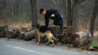 Турски бизнесмен заклан с ножица в гърлото край Долна баня