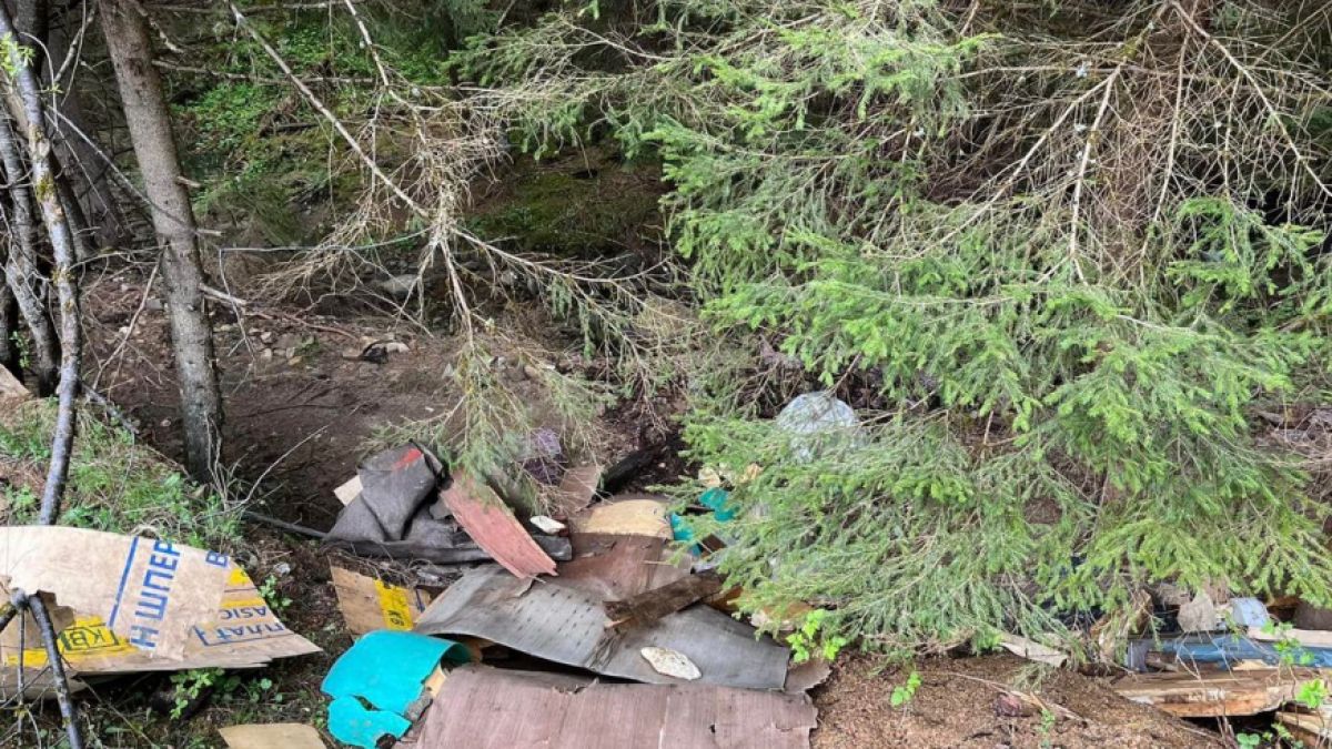 Нещо чудовищно се случва в тази местност в Родопите СНИМКИ