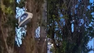 Нещо странно кацна в столичен квартал, може да убие човек СНИМКИ