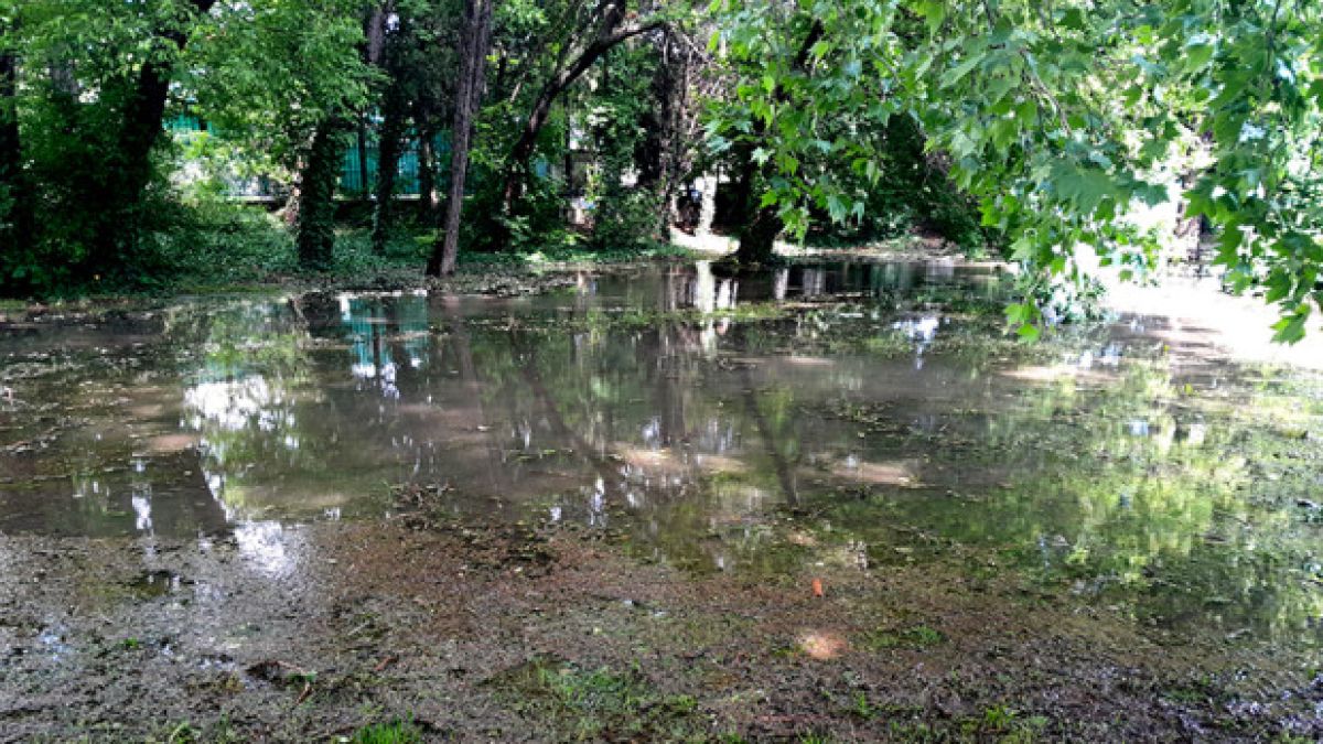 Нещо страховито се появи край Старите гробища във Варна