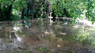 Нещо страховито се появи край Старите гробища във Варна
