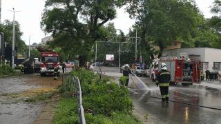 Диана Русинова шокира: На мястото на зверската катастрофа в Пловдив е пълно с...