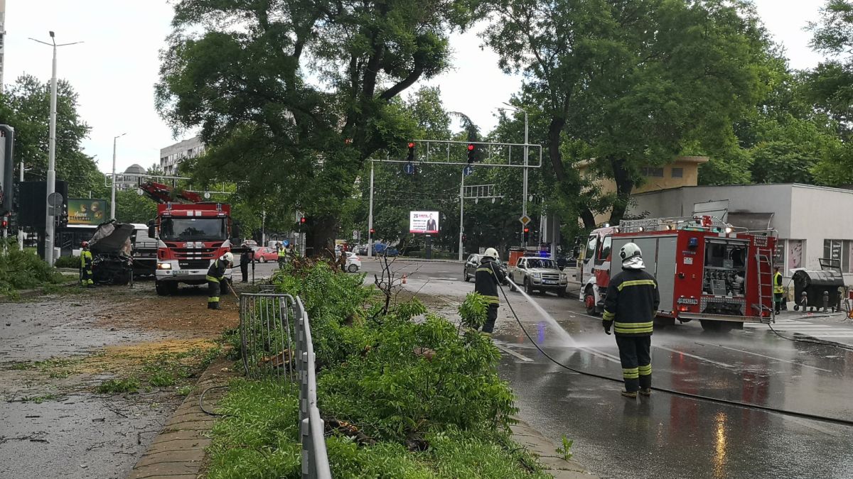 Разбра се имало ли е гонка с полицията при тежката катастрофа със загинали младежи в Пловдив