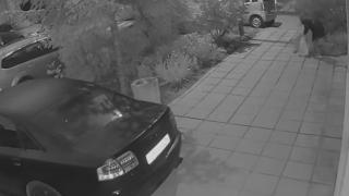 Не пак, а отново: Повтори се страшна гнусотия в София
