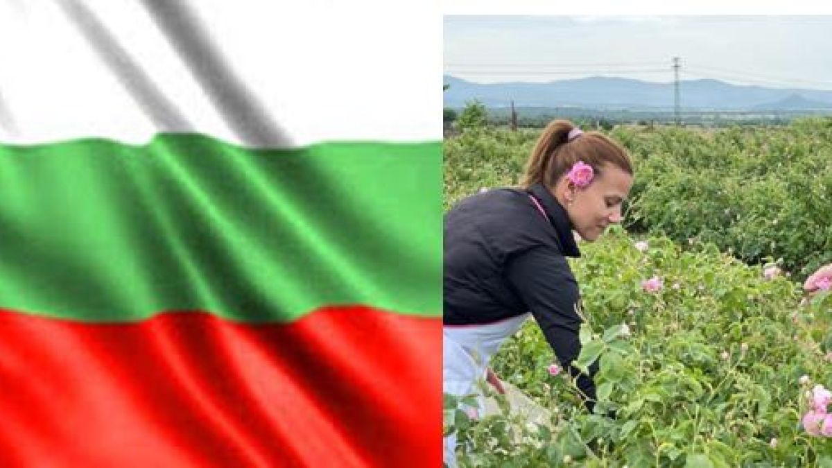 Фондация „РодАна“ организира „По пътя на Роза Дамасцена“ с Царския влак