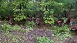 Опасен инцидент с двойка старци в Родопите, шофьори наскачаха от колите и... ВИДЕО 