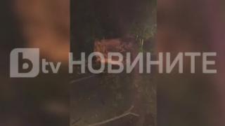 Жестоко меле по тъмна доба на Подбалканския път СНИМКИ 