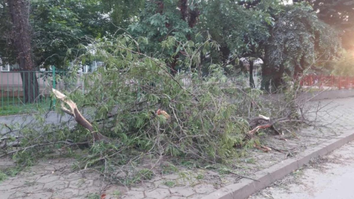 Бойко беше убит: Съпругата му е твърдо решена да съди общината