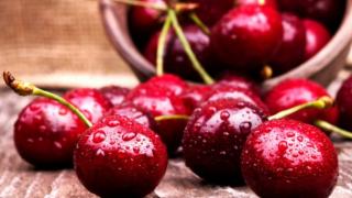 Юруш на черешите: По левче килото, ето къде и защо