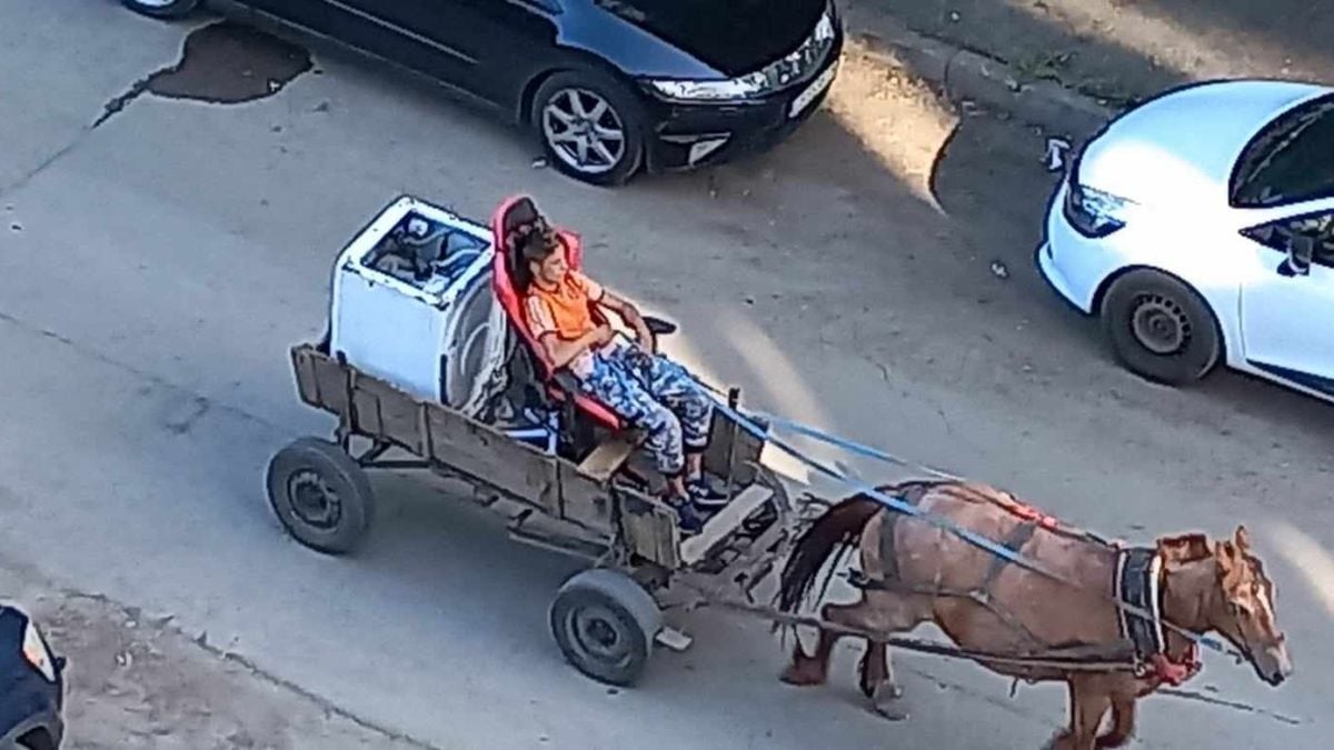 Млад каруцар събра очите на софиянци: Хем е смешно, хем... СНИМКИ