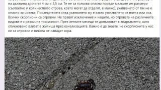 Малцина знаят, че тези отровни животни живеят у нас, но софиянец улови едно на СНИМКА