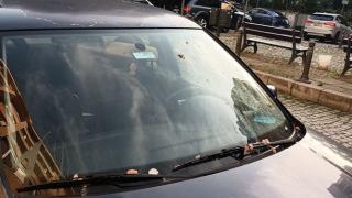 Тотално падение: Така ли трябваше да постъпят с инвалид 