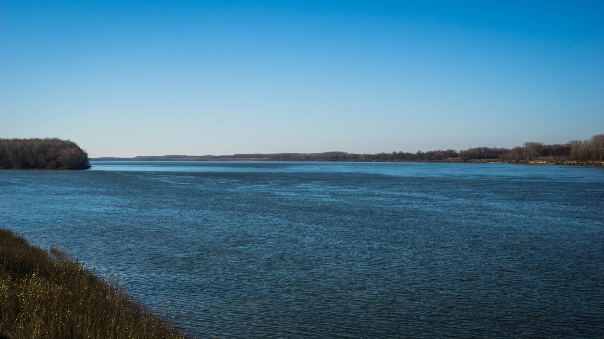 Труп и мистериозни мазни петна наплашиха хората по Дунав, взимат се спешни мерки