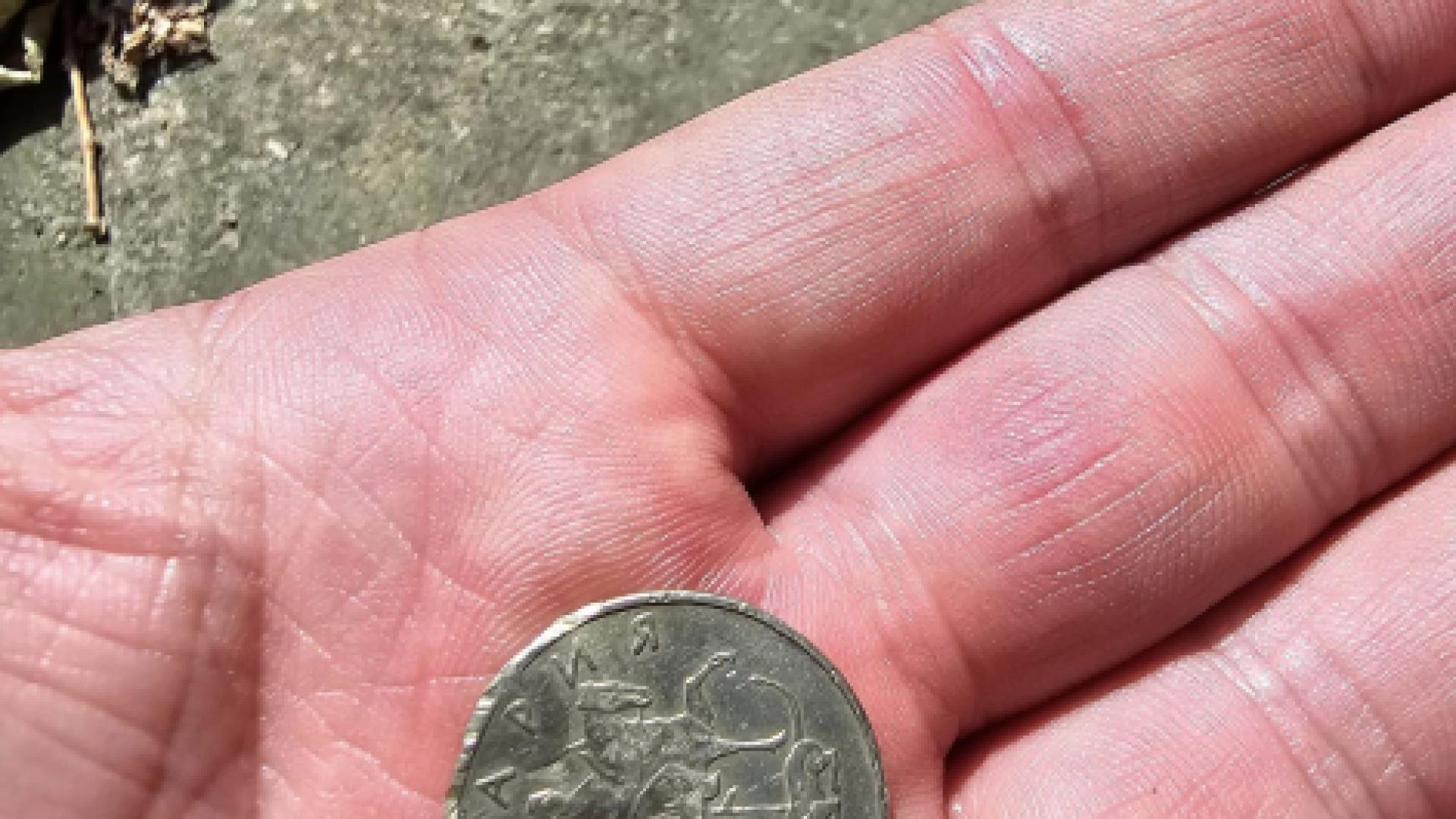 Тези 50 стотинки взривиха мрежата, хора останаха без думи СНИМКИ