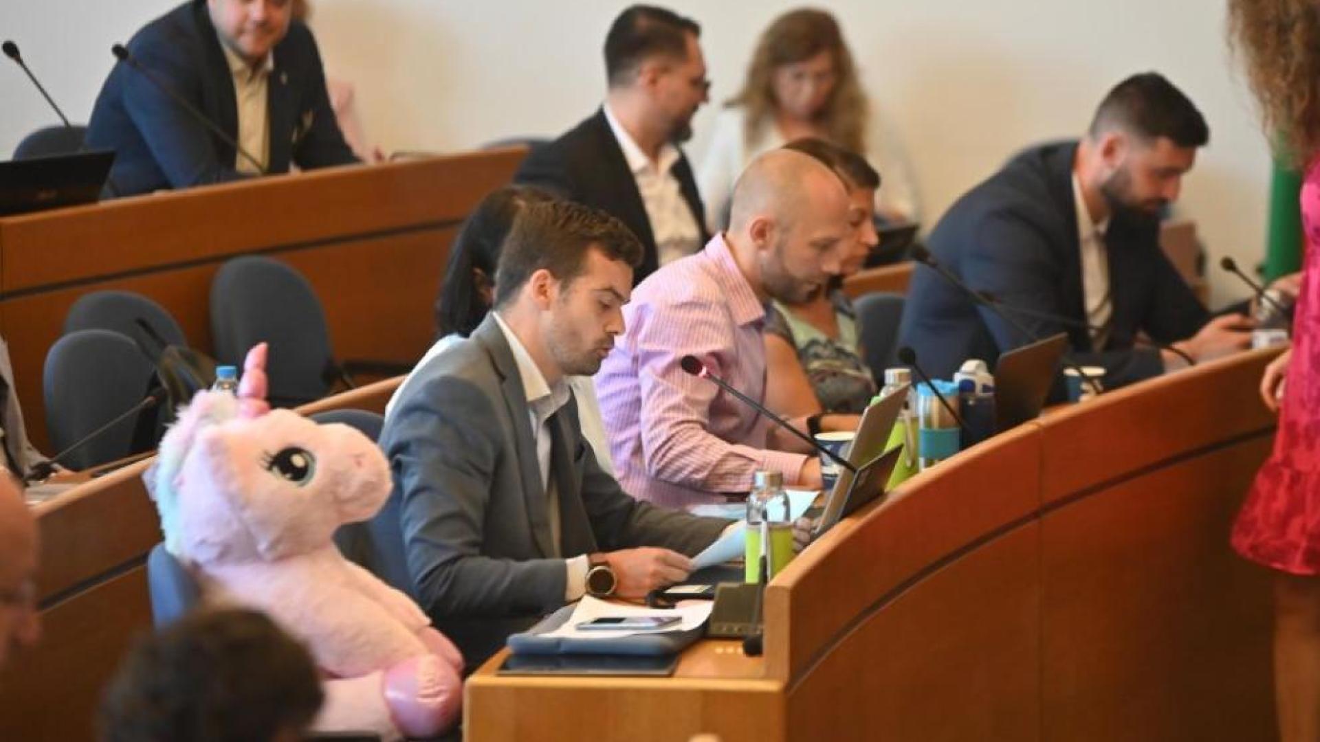 Само такова нещо не сме виждали: Розов еднорог в СОС, кой го получи