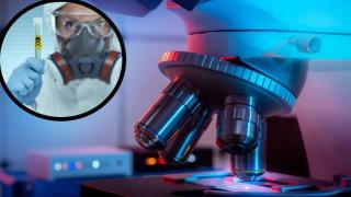 Проф: Александрова: Стар познайник може да ни зарази със страшната болест "Нипа"