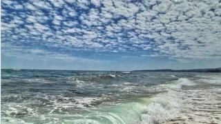 Ще ви се свие сърчицето: Българин подпали мрежата с предложение за безплатно море за...