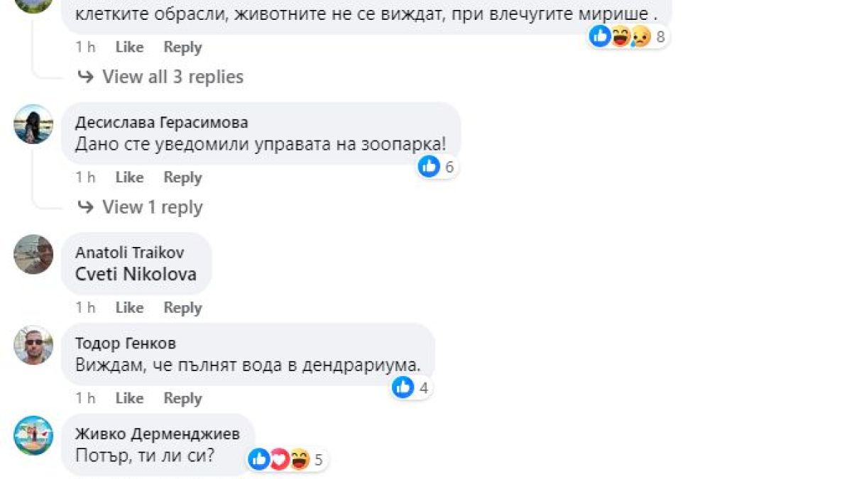 Тази СНИМКА от зоопарка в София втрещи всички: Ето защо клетките са празни