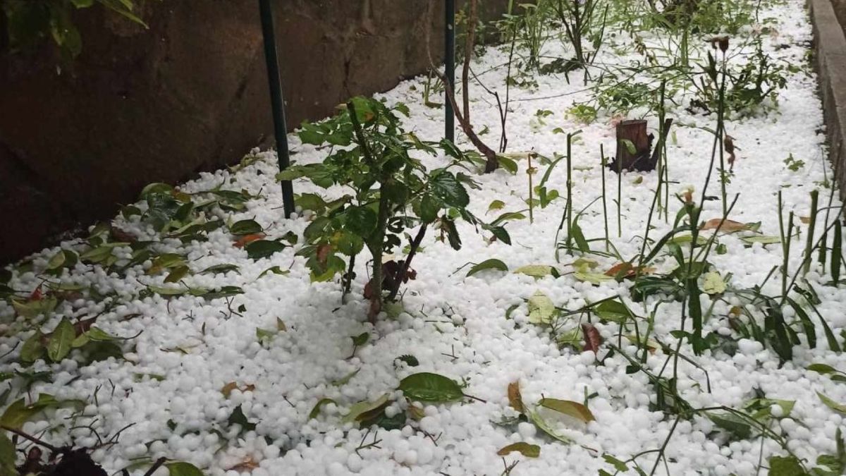Стопаните в Русенско плачат! Невиждана от години стихия съсипа труда им ВИДЕО 