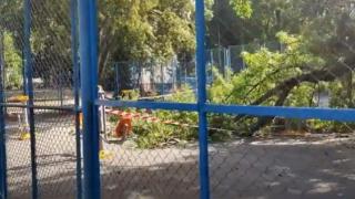 Бургас на косъм от страшна трагедия ВИДЕО