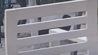 Зловеща гледка на плажа във Варна ошашави туристите ВИДЕО 