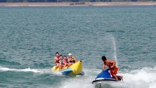 Ето колко се бъркаме да ни качат на банана и да плуваме с делфин!