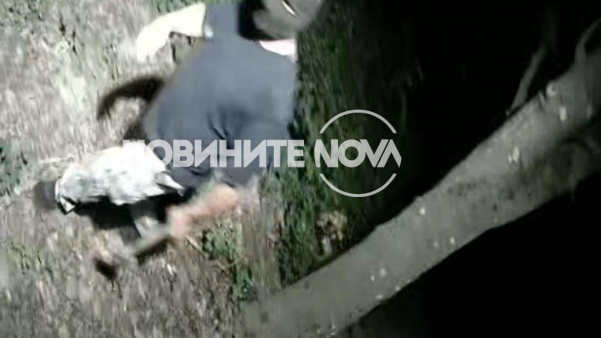 В Димитровград изтръпнаха, нощем в парка за нищо на света няма да ходим СНИМКА