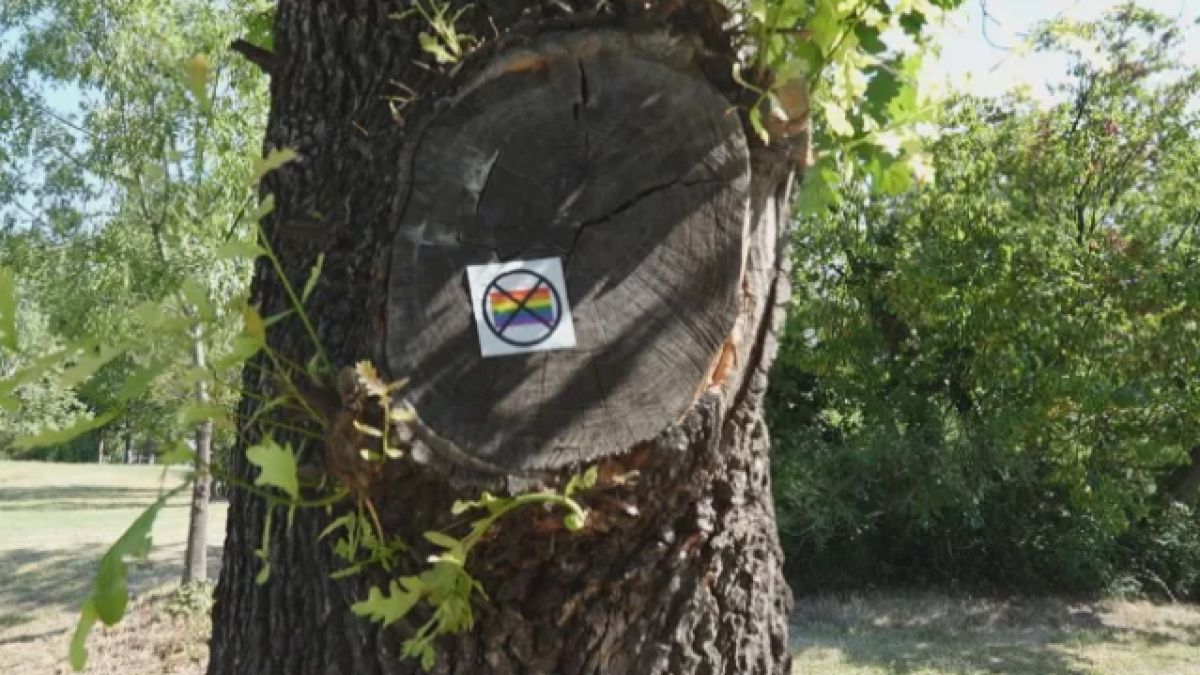 Родената като момче Петра изпадна в шок от тази гледка в парка: Страх ме е!